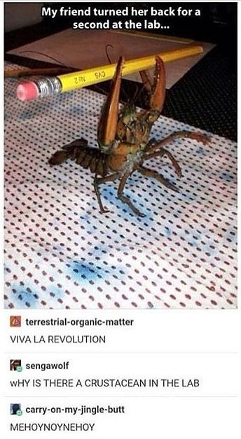 Peterson