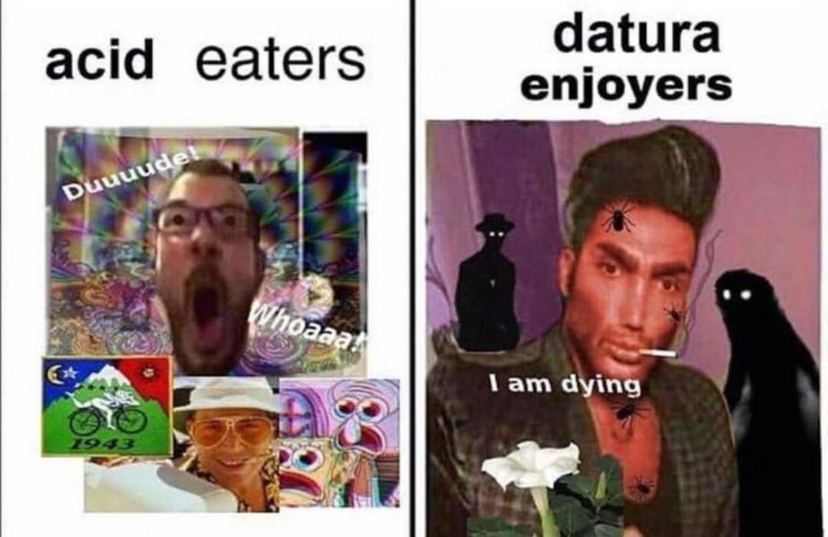 Do we have any eaters/enjoyers than can elaborate?
