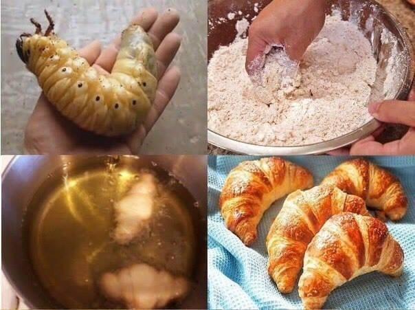 Wait, I thought they were bread!?! SLOV!!!
