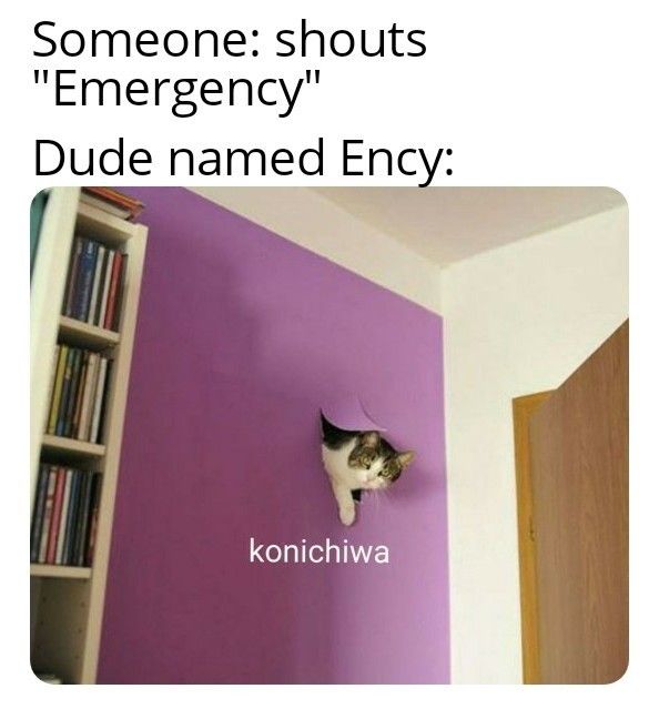 Do not panic, for he is here