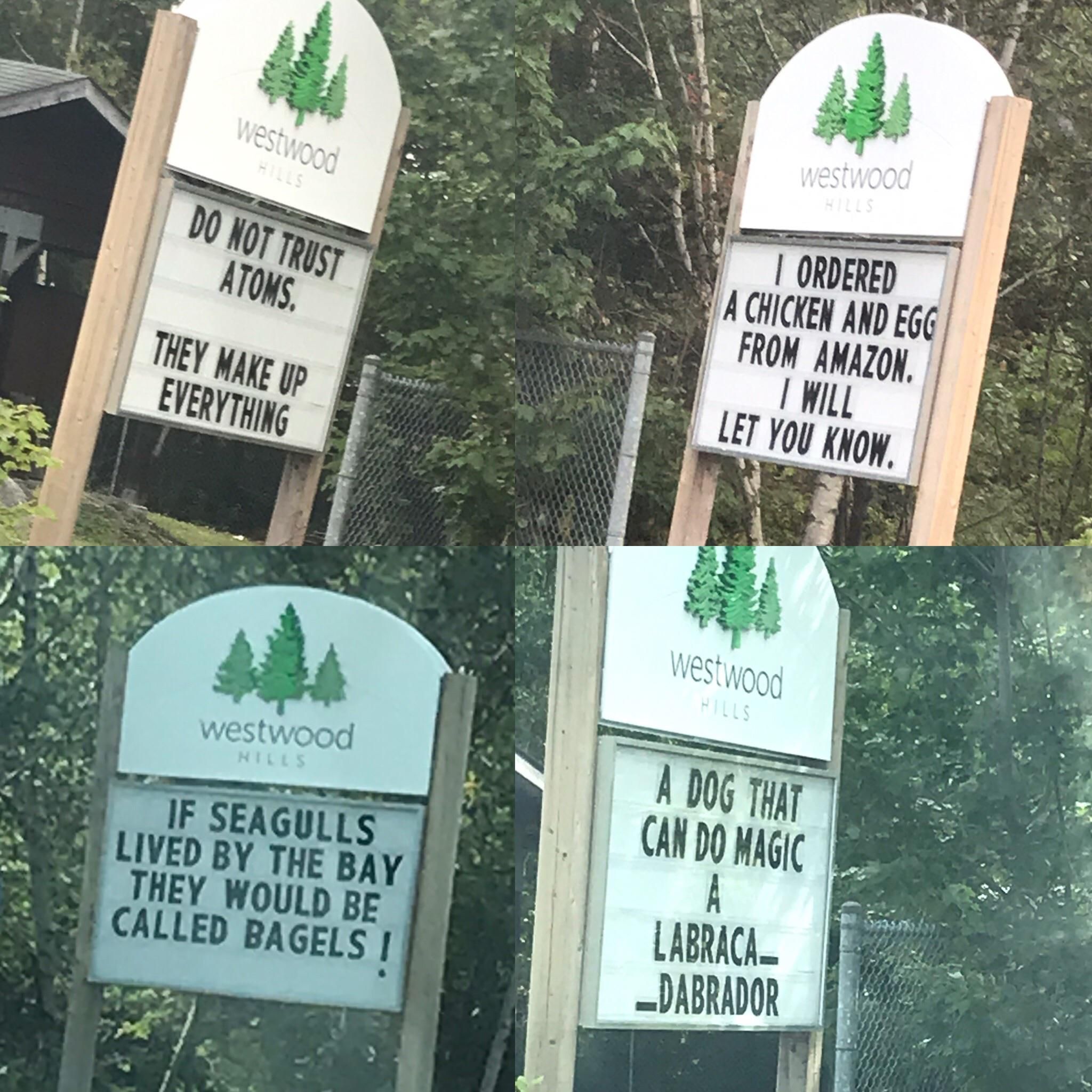 My dad was responsible for our neighbourhood sign this week, a series