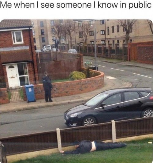 Just shimmy, shimmy through the grass