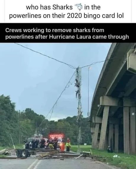 Sharknado