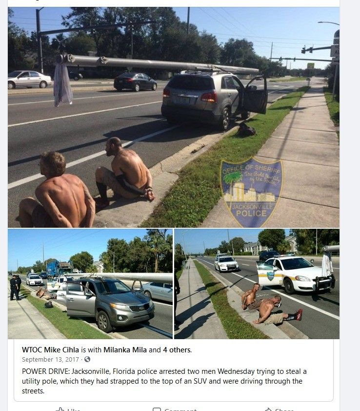 Florida Man's motives and beyond our understanding