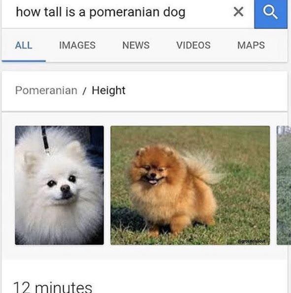 Should be there in 12inches