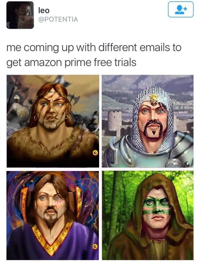 ‍ ‍ Heroes Chronicles
