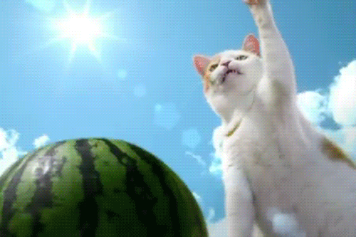 Bless This Watermelon