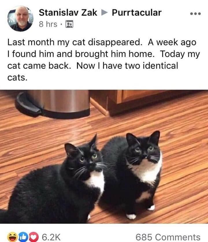 ctrl C