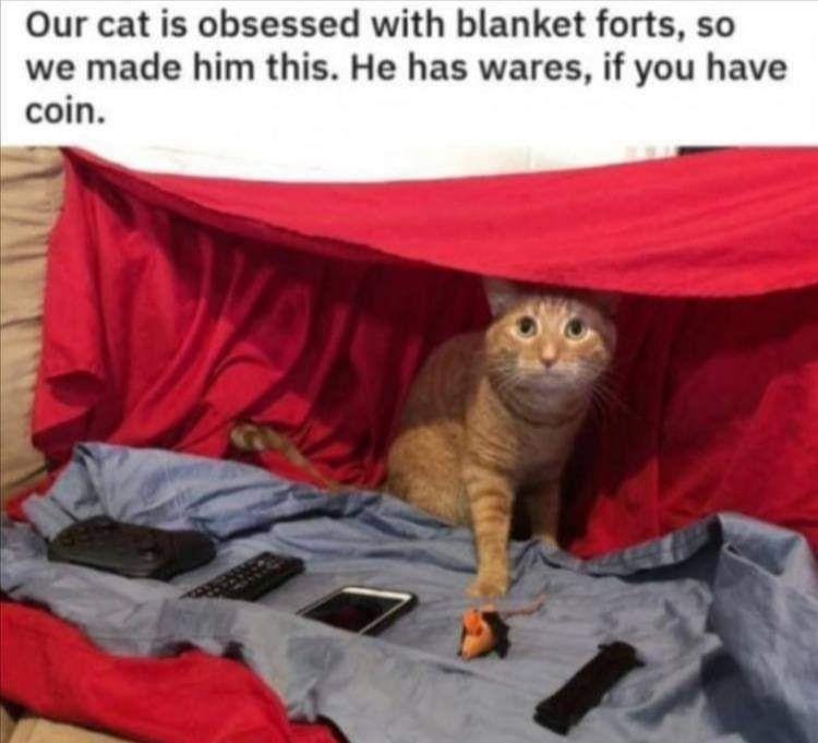 I'll take 3