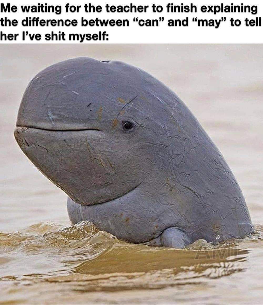 ¯\_( ͡° ͜ʖ ͡°)_/¯