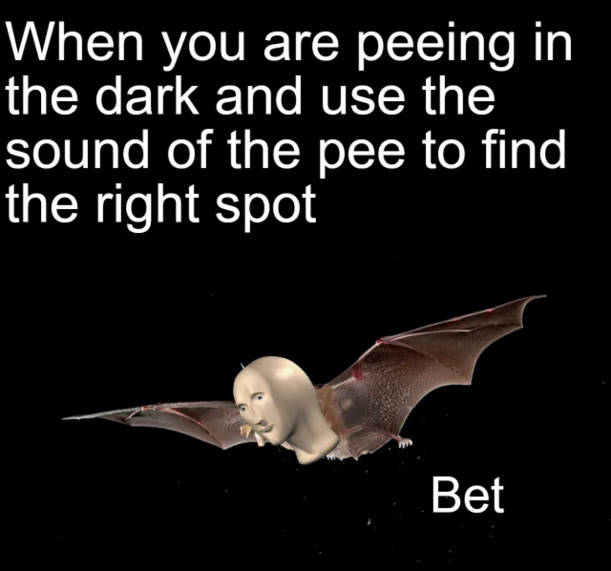 Echolocation does weird things to a man