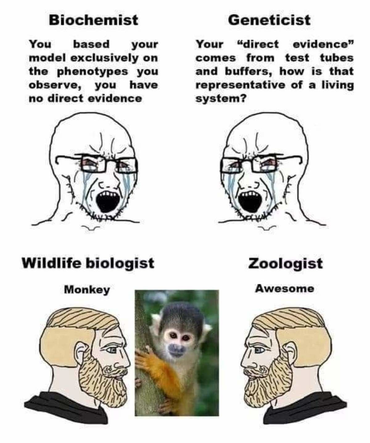 Leave the science to the monkes