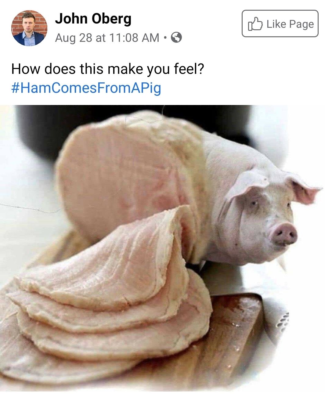 MAN discovers way to slice HAM off PIG while it's still ALIVE