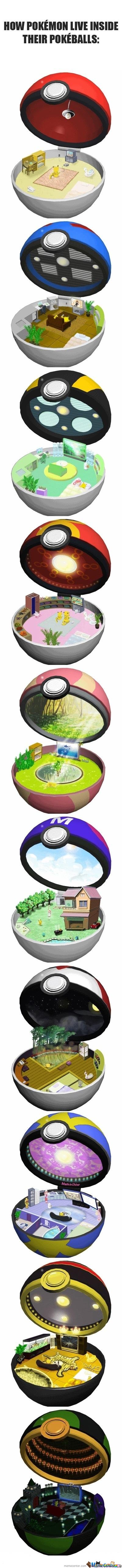 How Pokemon live inside their pokeballs