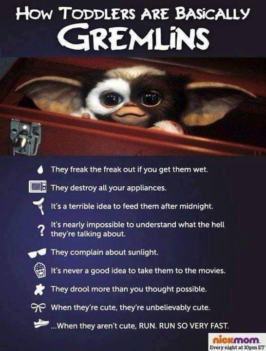 Toddlers and Gremlins