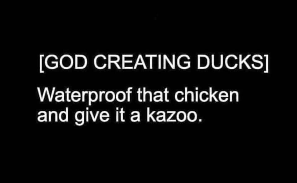 duckposting