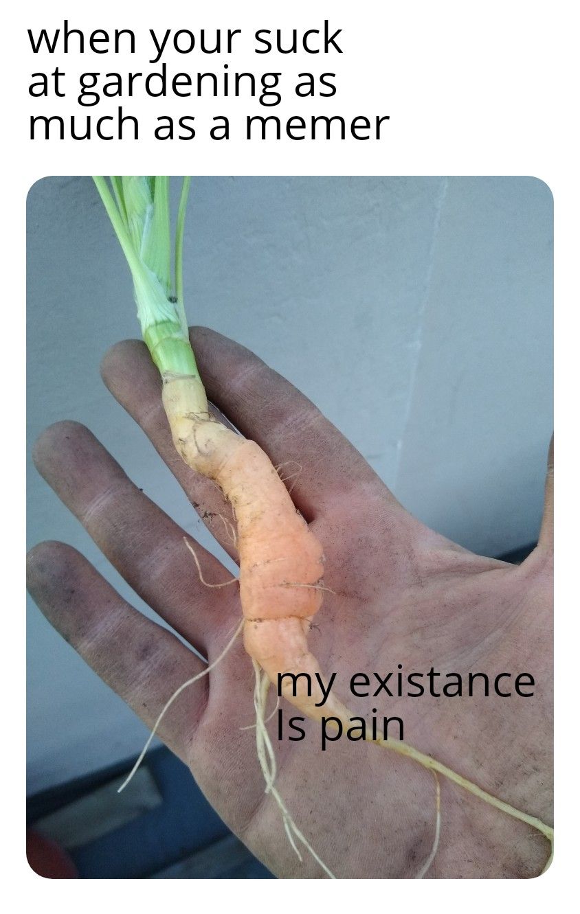 Carrotposting