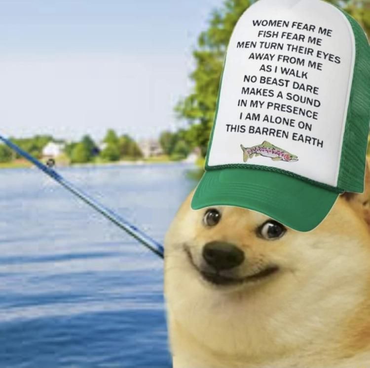 hehe funny dog