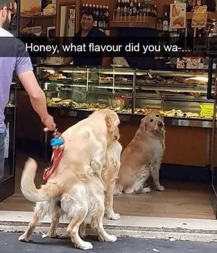 Noo