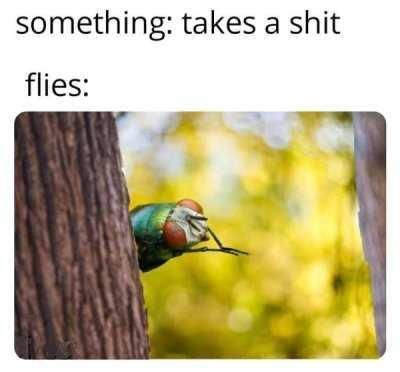 They do be like that.