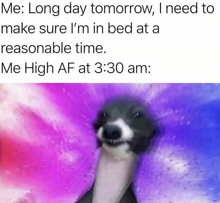 Cant sleep stonee