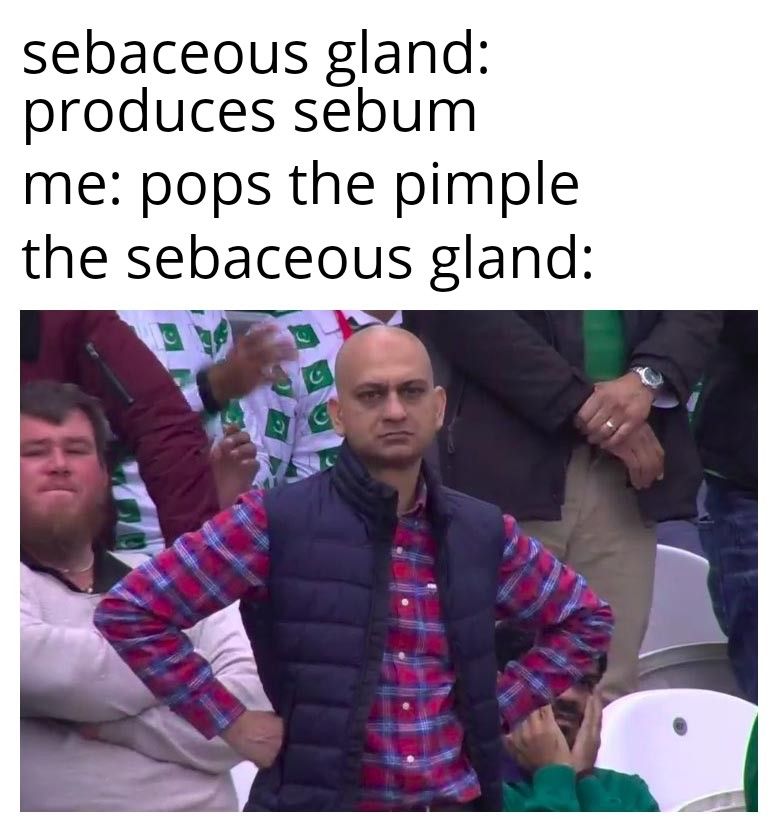 sebaceous glands are bro