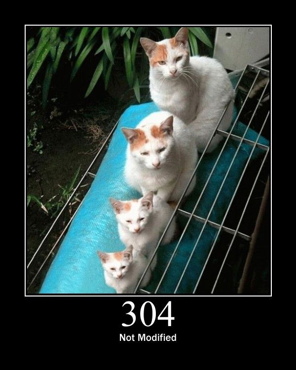 HTTP STATUS 304