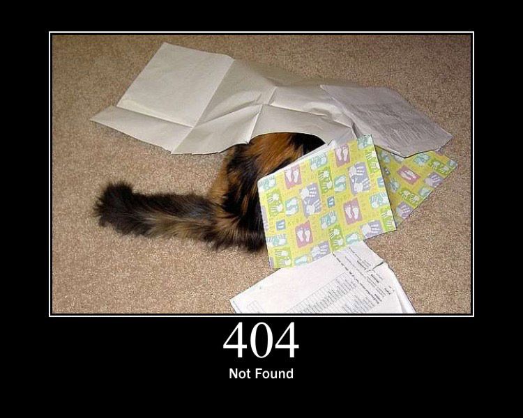 HTTP STATUS 404