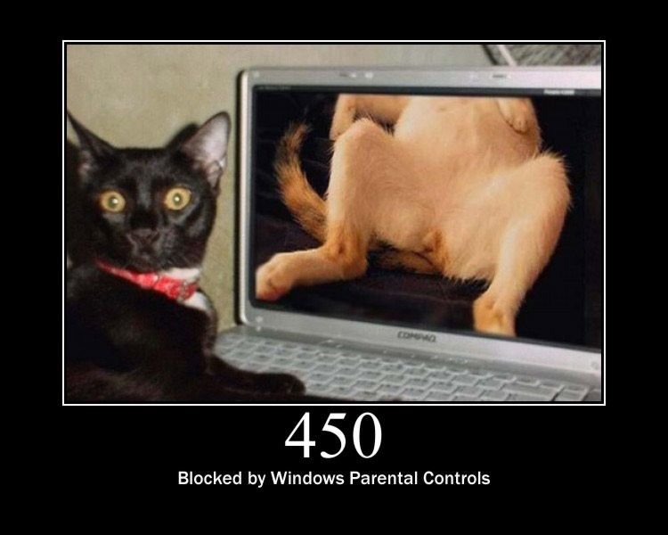 HTTP STATUS 450