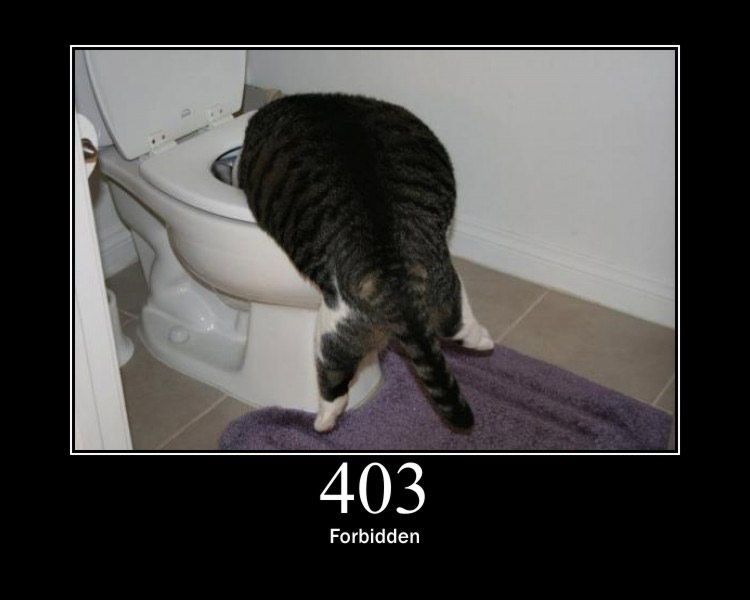 HTTP STATUS 429