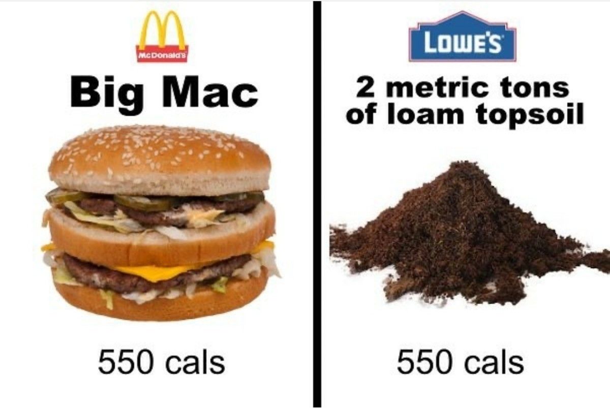 This sure puts the "die" in "diet food"
