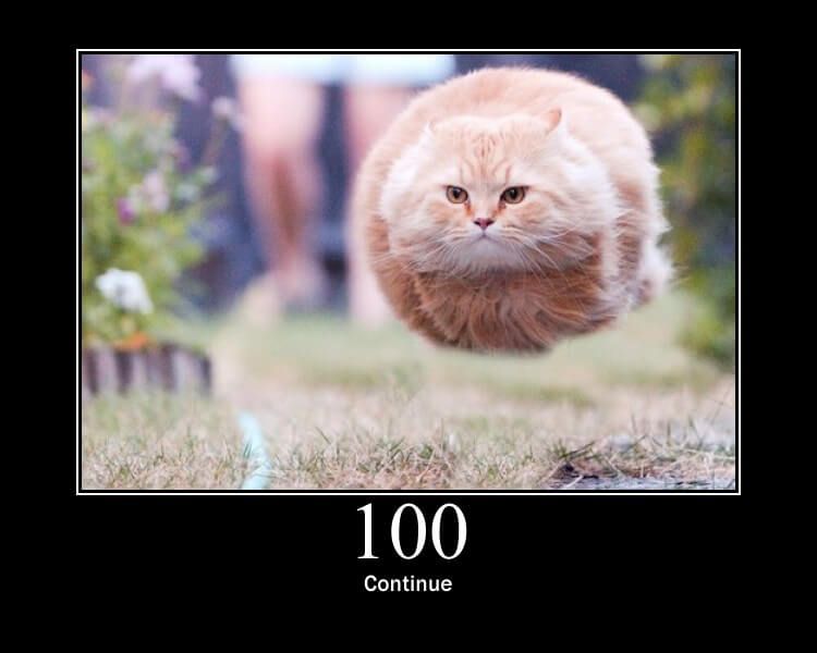 HTTP STATUS 100