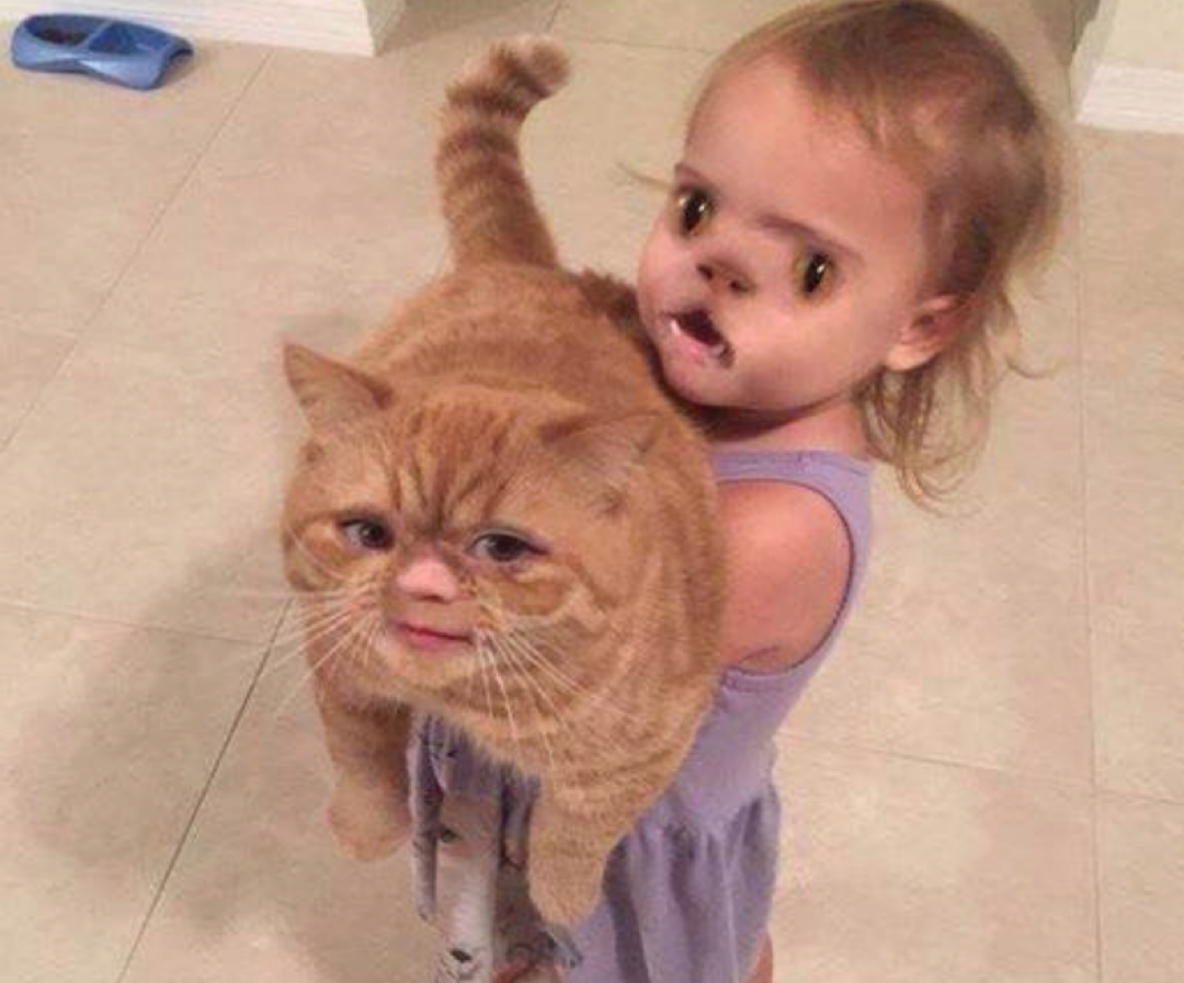 The kids face on the cat is what kills me