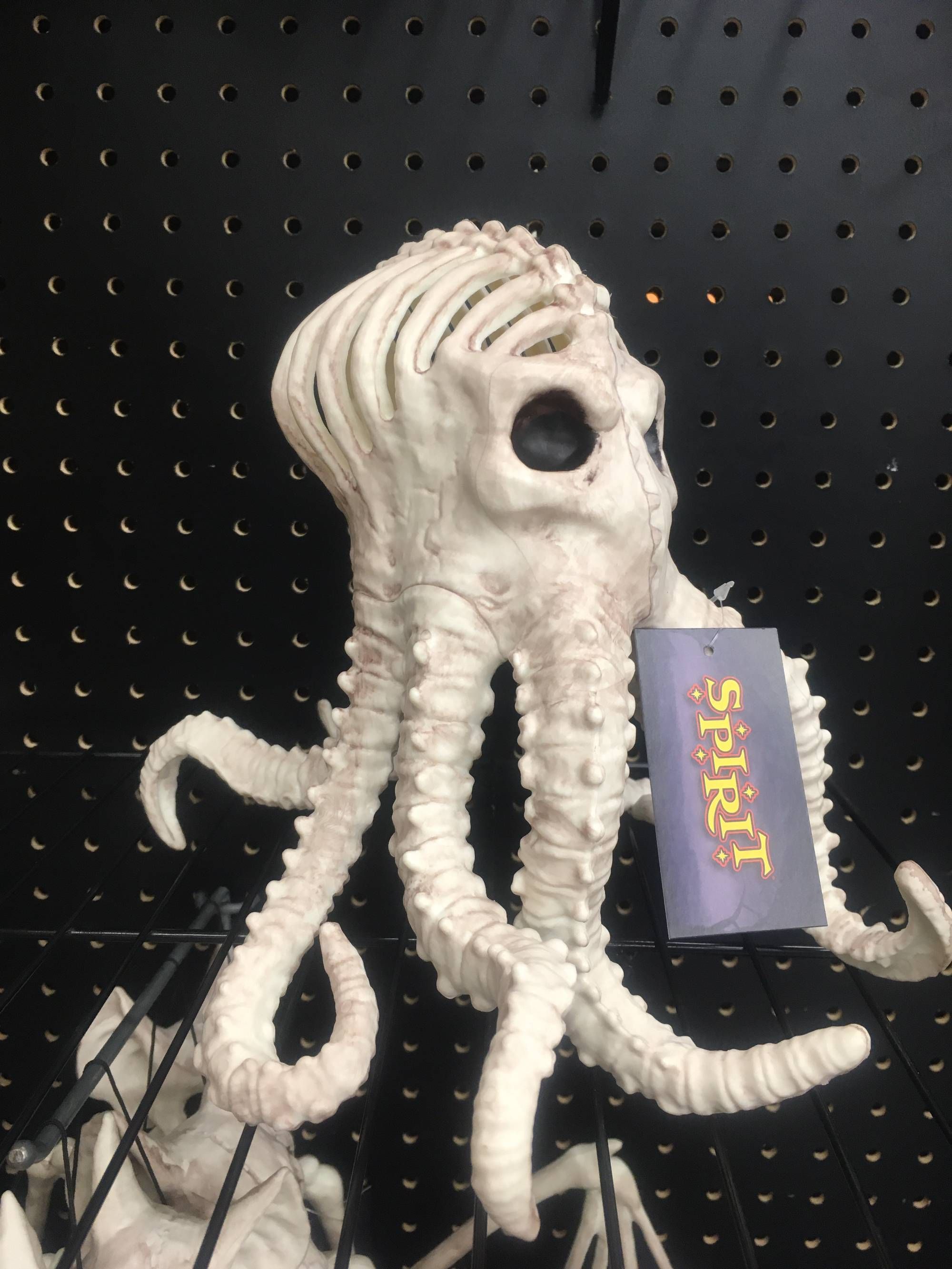 I’m all for Halloween decorations, but I draw the line at skeletons of invertebrates.