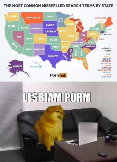 who tf searches "porn" on a porn site