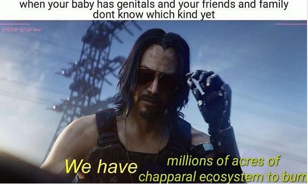 Burn baby burn.