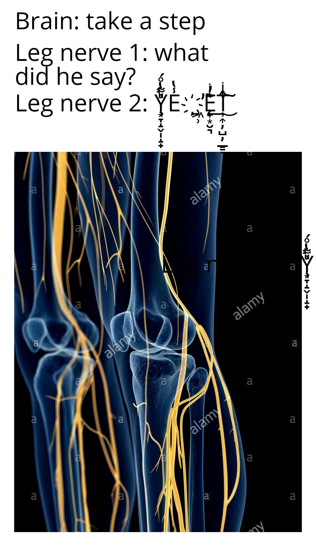 memeltiple sclerosis posting 1