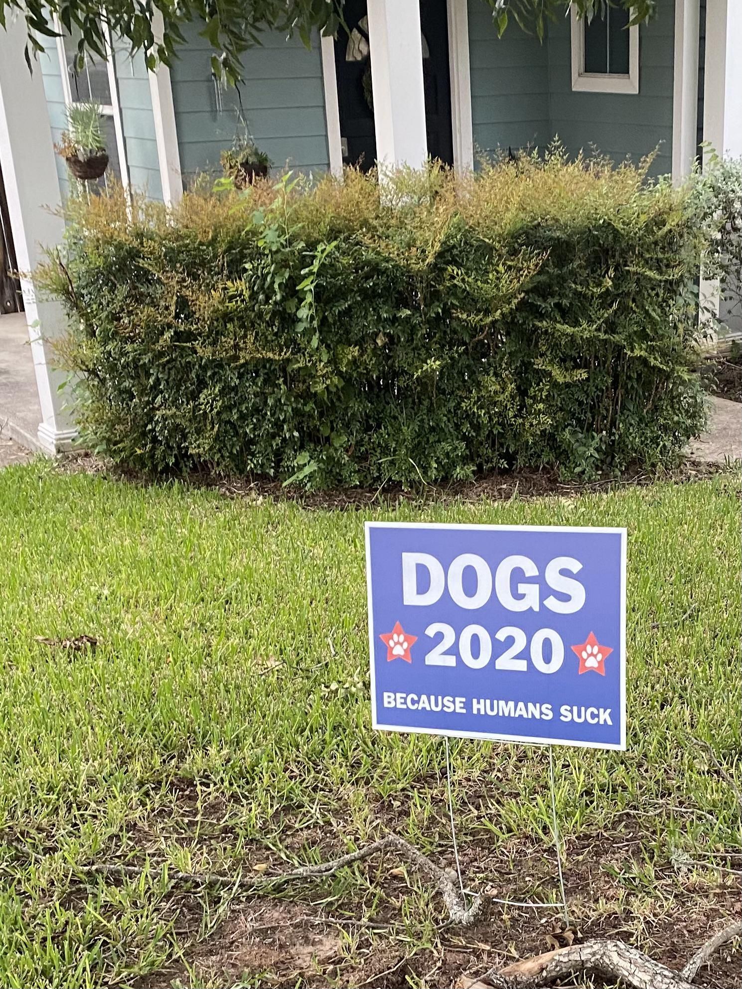 Dogs 2020
