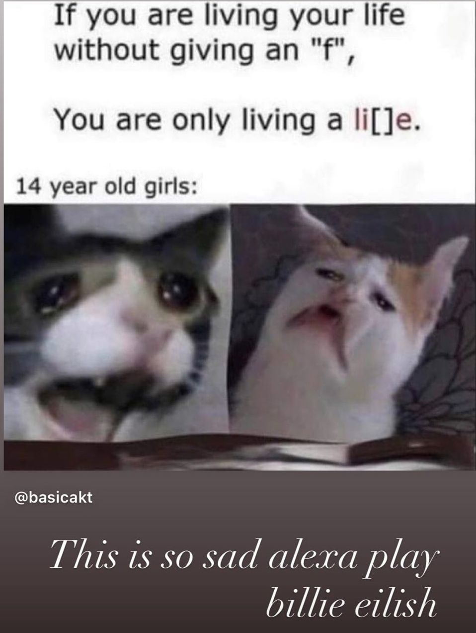 Meow....