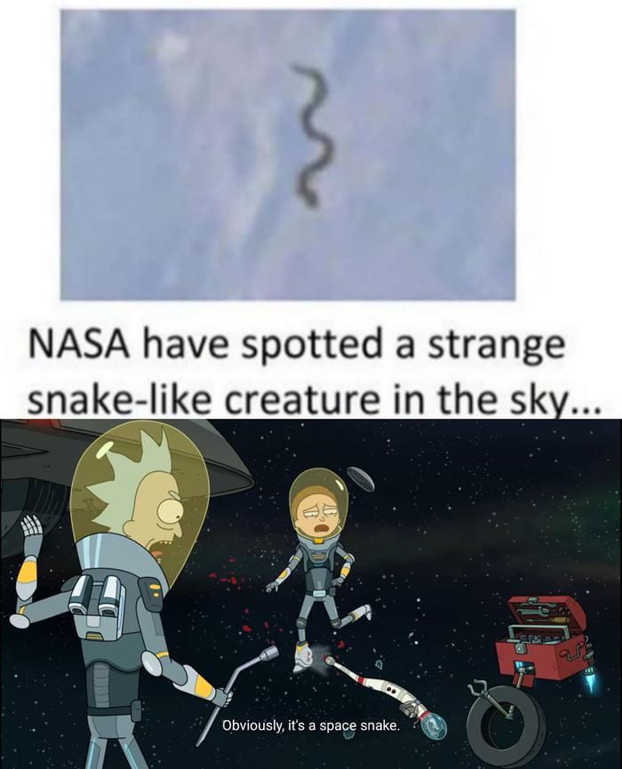Space snakes are invading us
