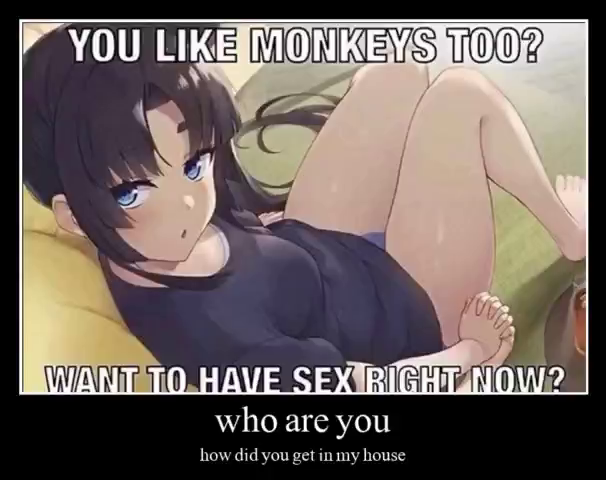 monke