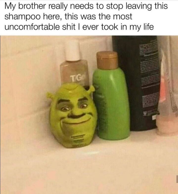 Donkey!