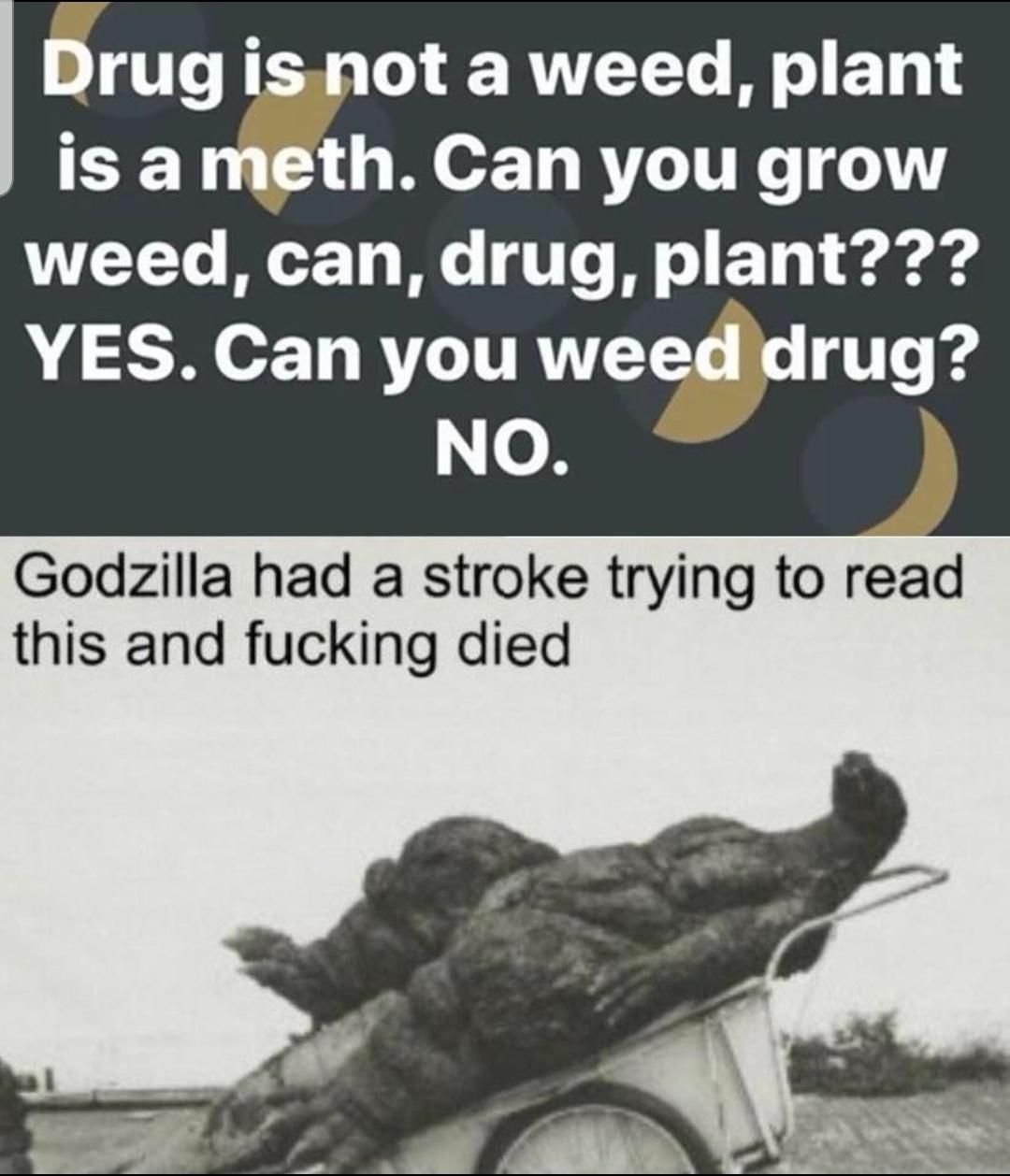 Godzilla is offically a japanese citizen.