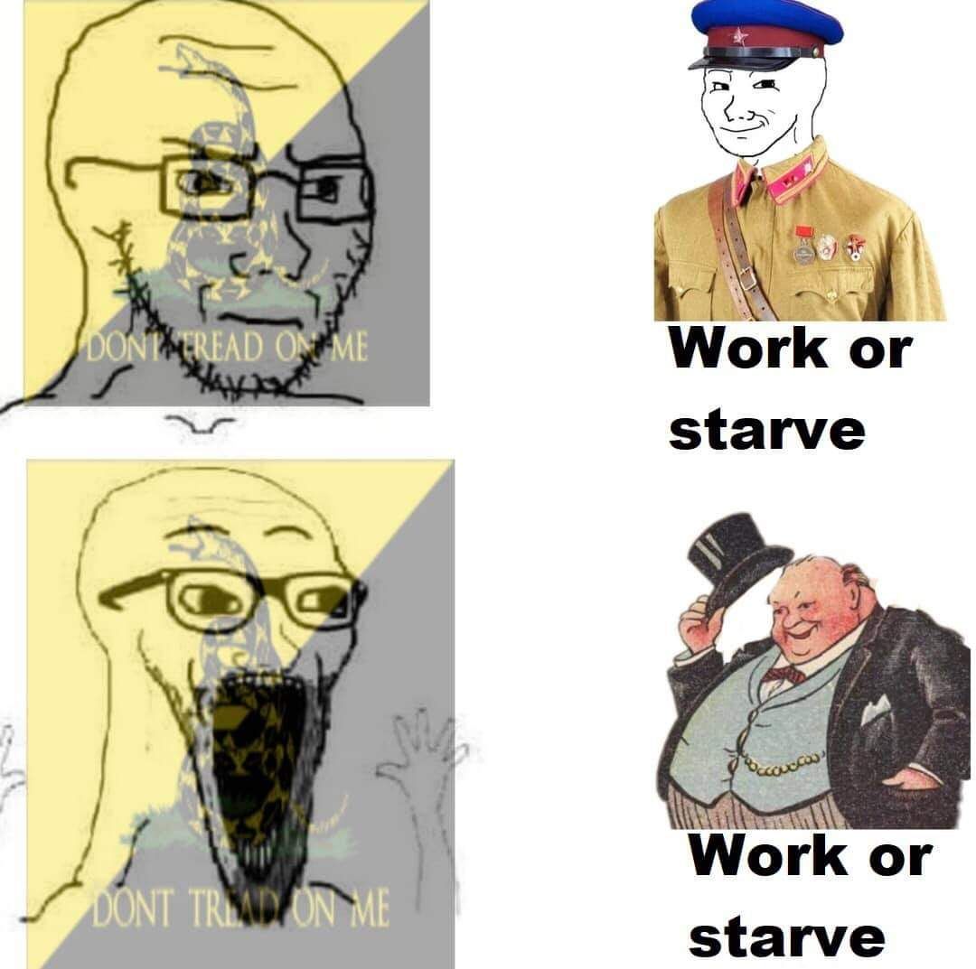 only my UwU kawaii master can tell me how to live my life