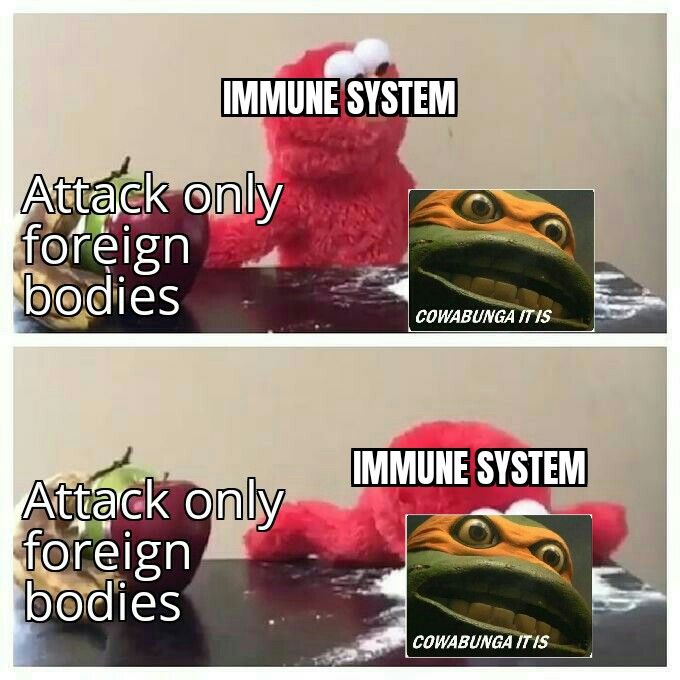 memeltiple sclerosis posting 5