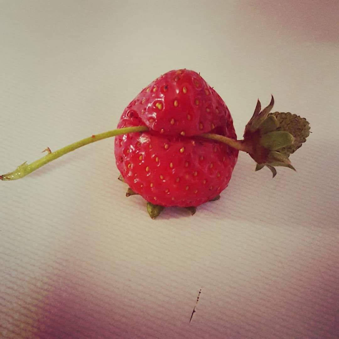 I can't tell if this strawberry is seducing me or eating its young.