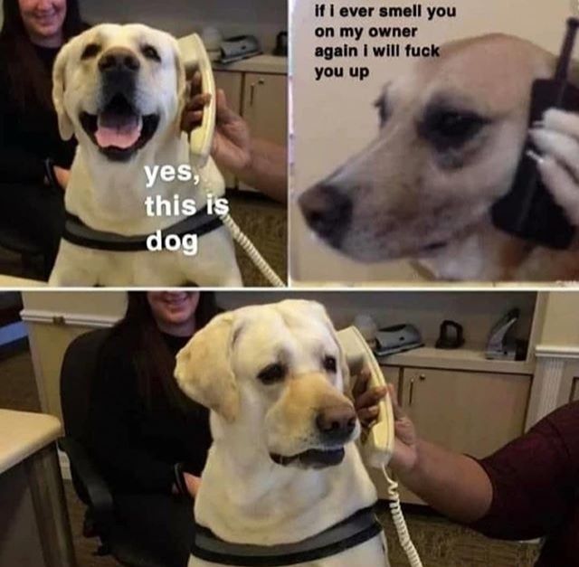 :'(