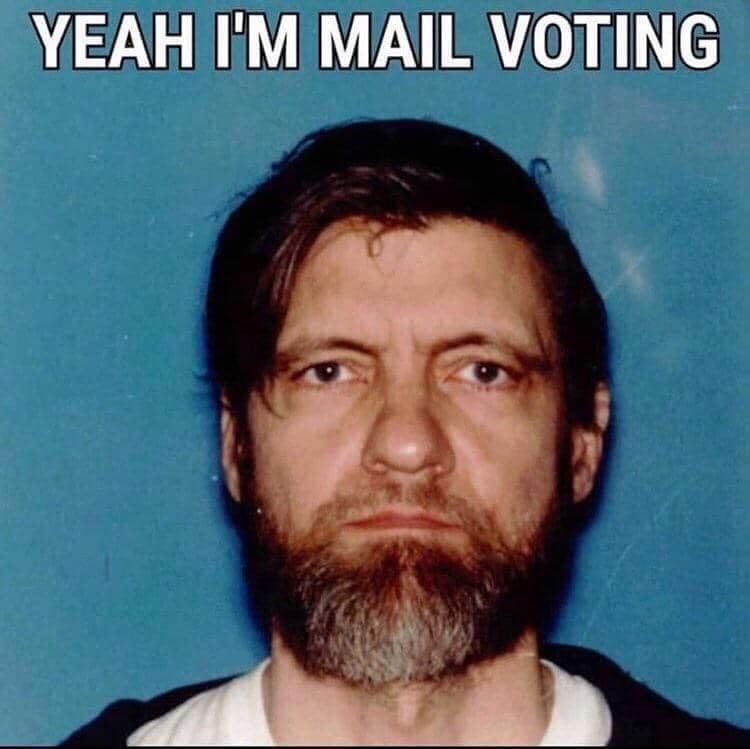 lets vote brehs