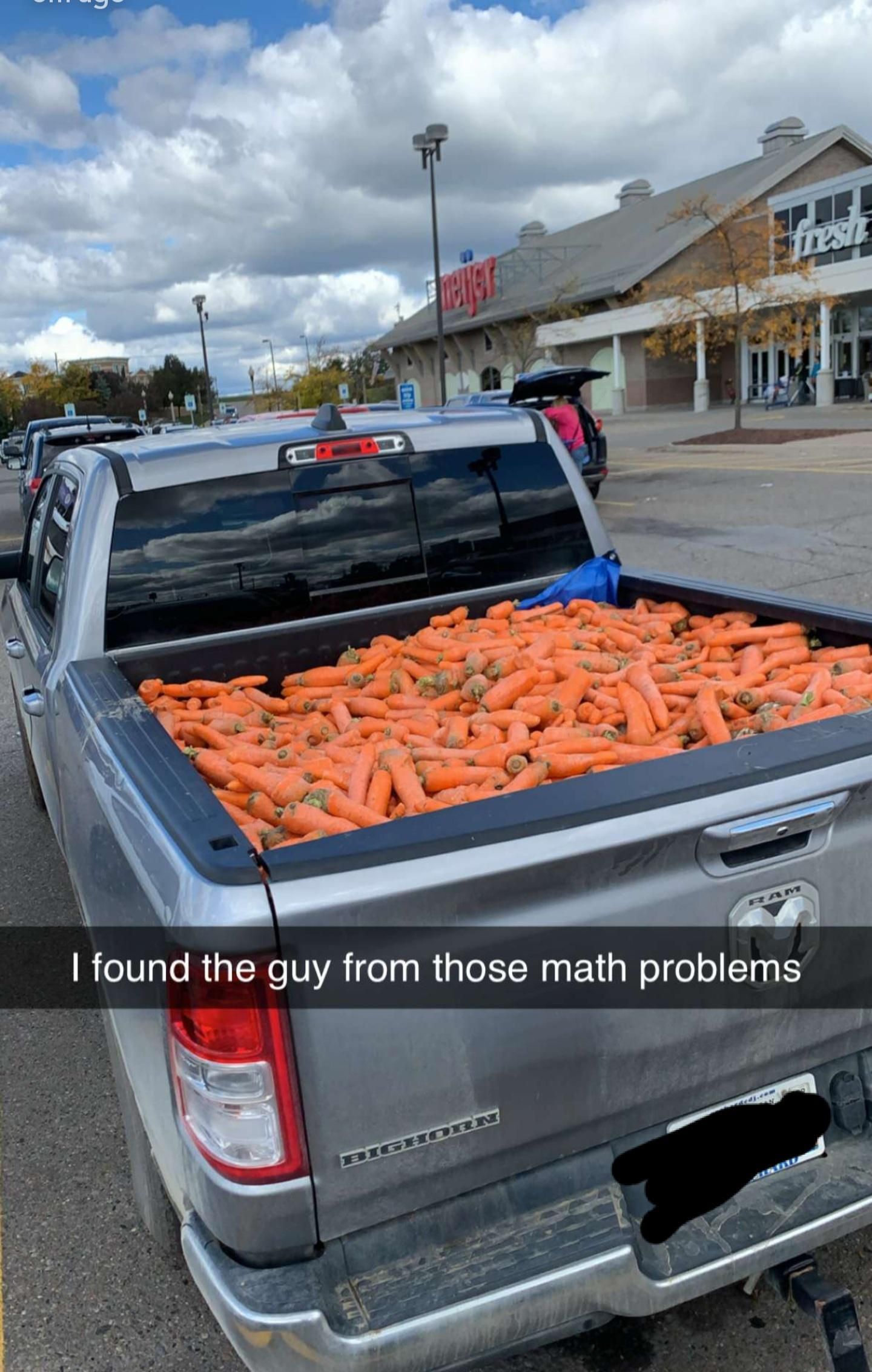 Steve has 1000 carrots and needs to...