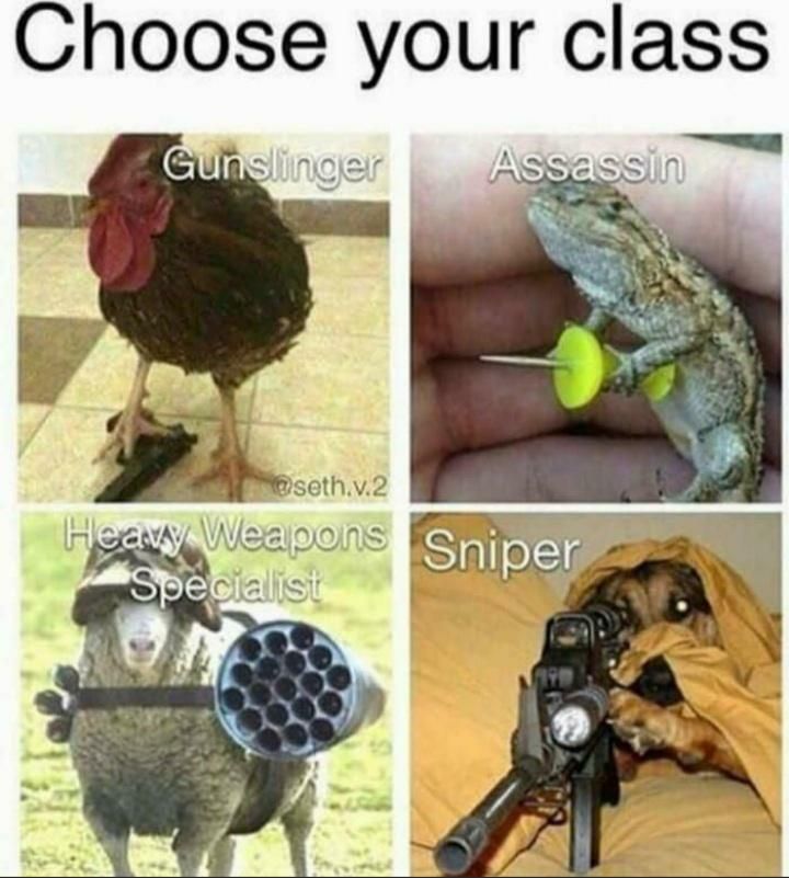 Choose your weapon!